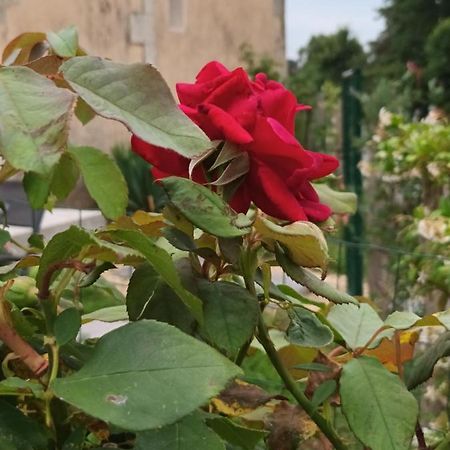 Gite Aux Vieux Bois Lunas  Bagian luar foto