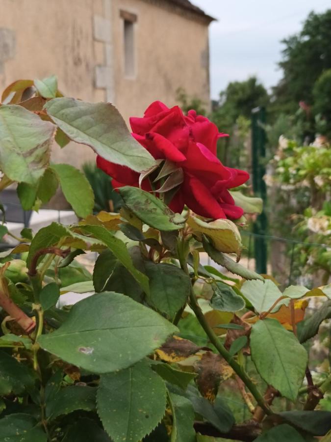 Gite Aux Vieux Bois Lunas  Bagian luar foto