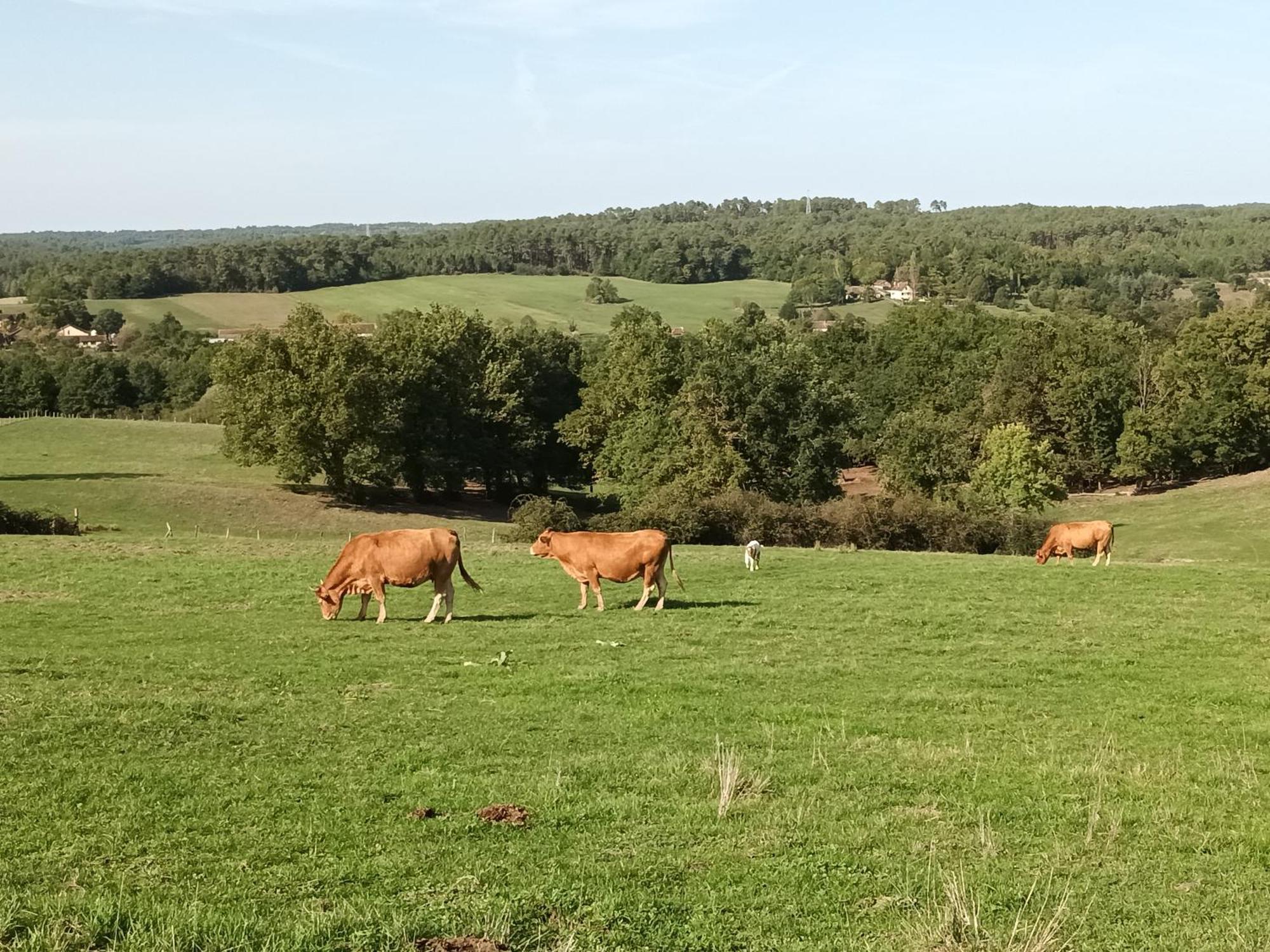 Gite Aux Vieux Bois Lunas  Bagian luar foto