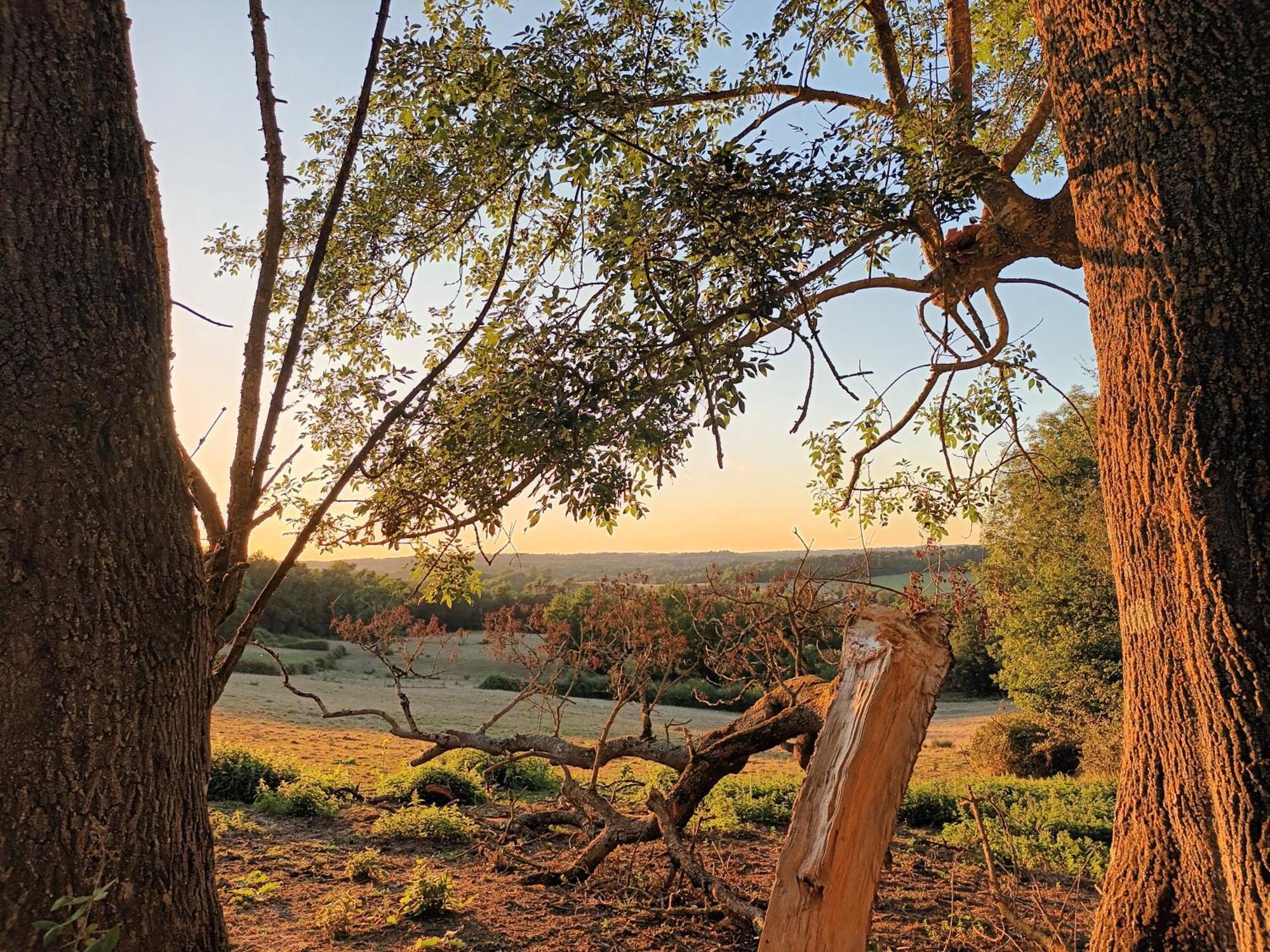 Gite Aux Vieux Bois Lunas  Bagian luar foto
